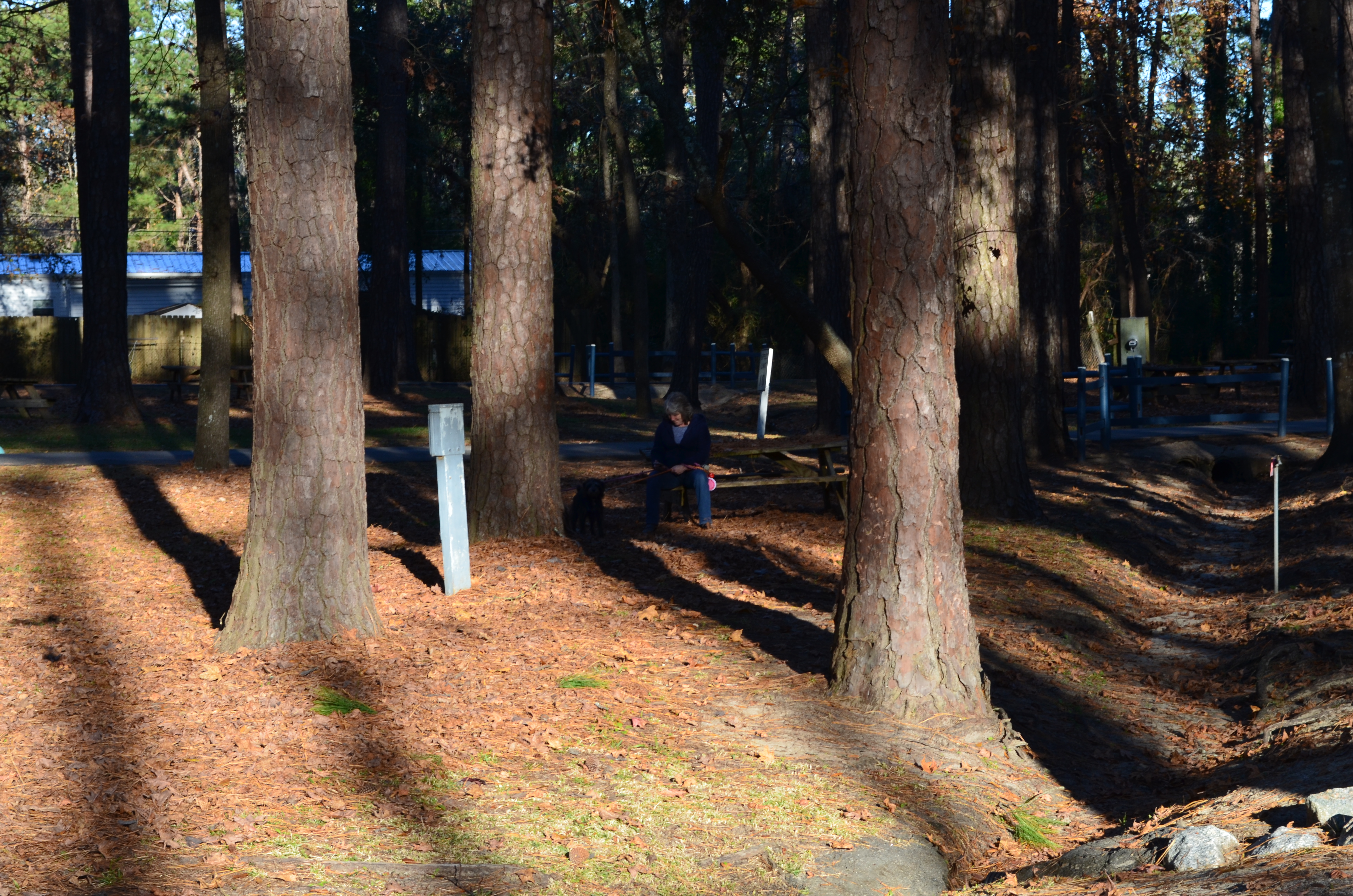 ./2017/21 - Myrtle Beach/ADSC_0761.JPG